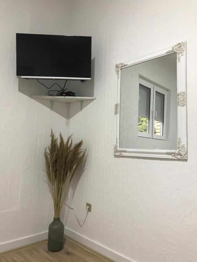 Apartman Studio Milojkovic Golubac Zewnętrze zdjęcie
