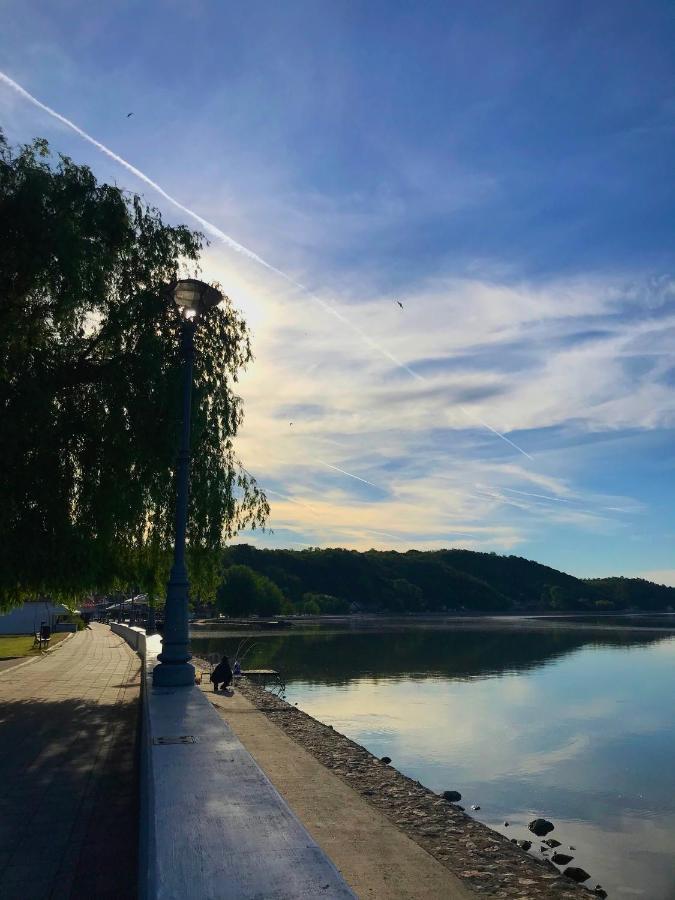 Apartman Studio Milojkovic Golubac Zewnętrze zdjęcie