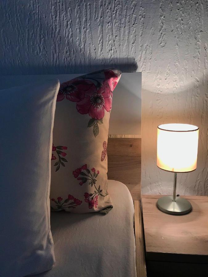 Apartman Studio Milojkovic Golubac Zewnętrze zdjęcie