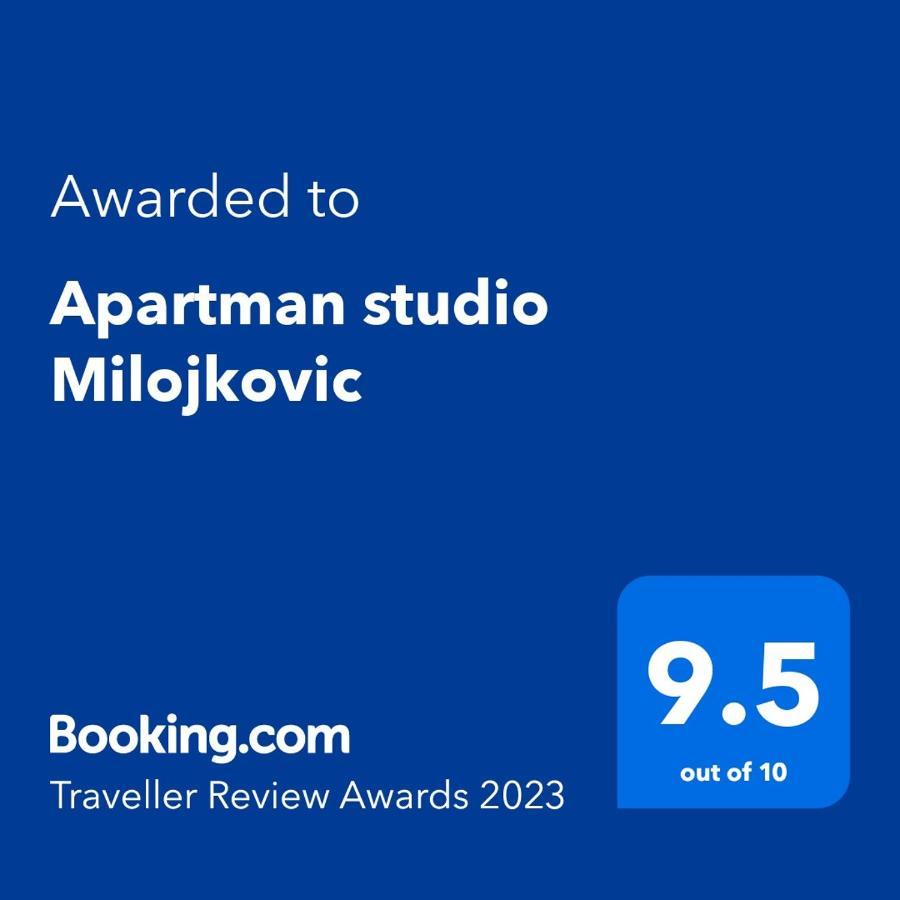 Apartman Studio Milojkovic Golubac Zewnętrze zdjęcie